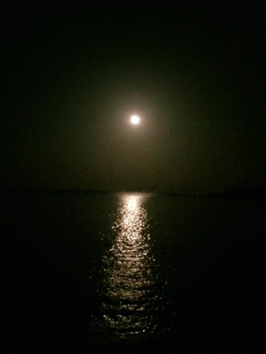 ・昨日は満月・