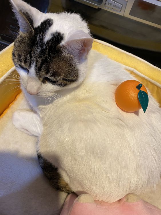 ～仕事初め～