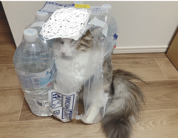 =^_^=　２/２２　=^_^=