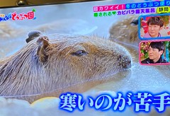 ♨ 露天風呂 ♨