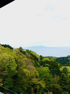 ♪久々の外出♪