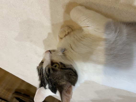 =^_^=　BIVI　13歳　=^_^=