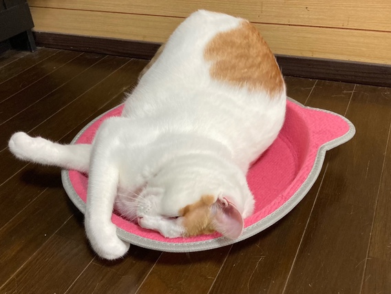 =^_^=春男のお気に入り=^_^=