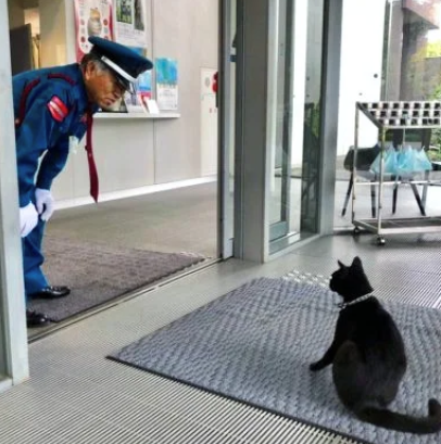 =^_^=　けんちゃん　=^_^=