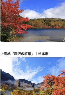 ~紅葉~