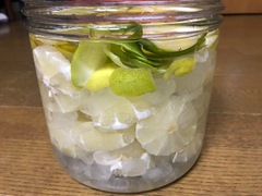 ~我が家のレモン生長日記⑭~