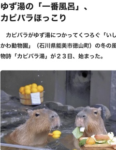 ♡♡癒される~♡♡