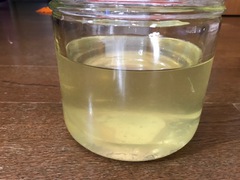 ~我が家のレモン生長日記⑰~