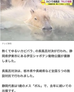 ♨温まる~♨