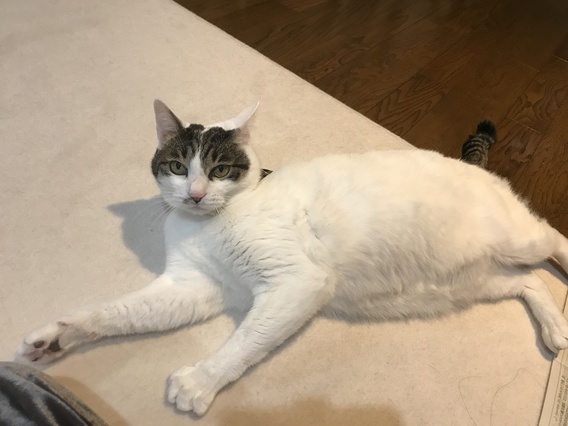 =^_^=初めてのお年玉=^_^=