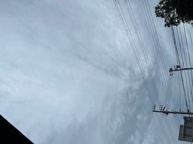 台風情報