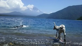 はじめて泳いだあの日