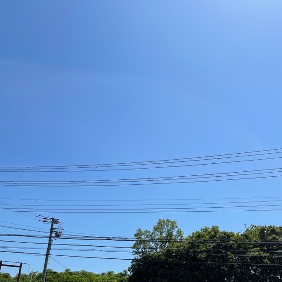 五月晴れ