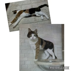 =^_^=　ワンショルダー　=^_^=