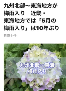 ☂梅雨入り☂