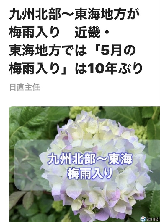 ☂梅雨入り☂