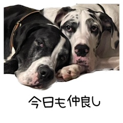 仲良し