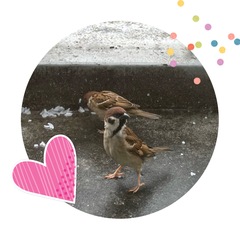雨の日のベランダ