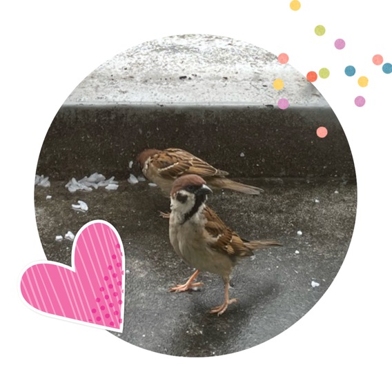 雨の日のベランダ