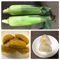 畑の夏野菜