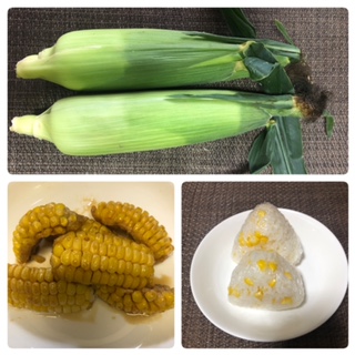 畑の夏野菜