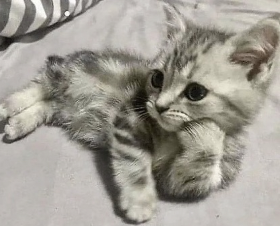 =^_^=　BIVI　=^_^=