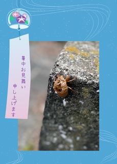 空蝉