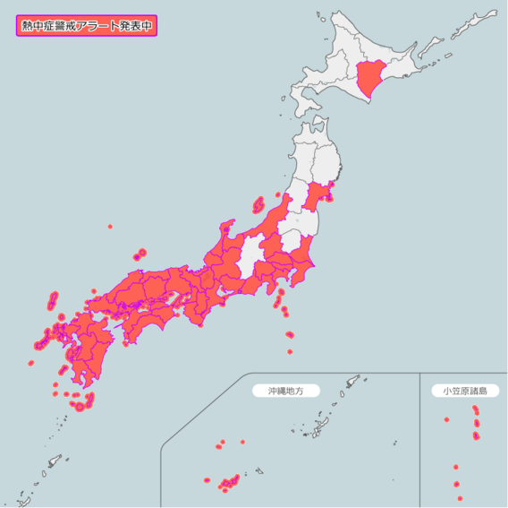 今年一番の暑さ