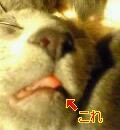変な寝顔