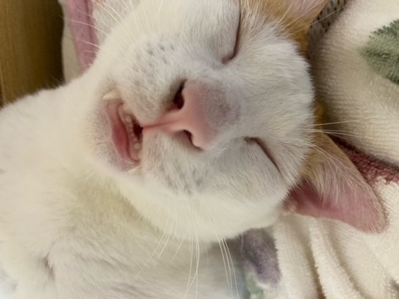 =^_^=ごはんだよ=^_^=