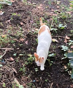 =^_^=春男の日課=^_^=