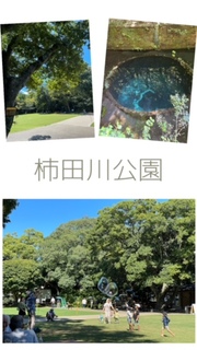 敬老の日