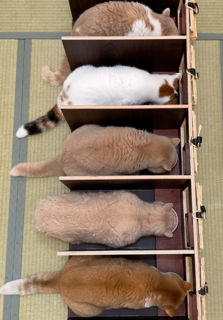 =^_^= 一蘭方式 =^_^=