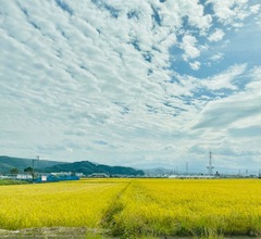 田園風景