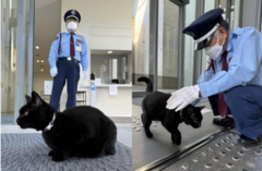 =^_^=　ケンチャン　VS　警備員　=^_^=