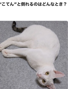 =^_^=どんな気持ち=^_^=