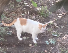 =^_^=外は楽しい=^_^=