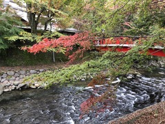 ~紅葉~