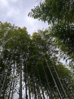 ~癒しの空間~