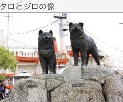 ？今日は何の日？