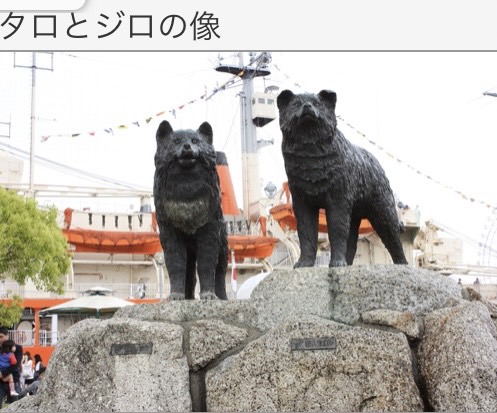 ？今日は何の日？