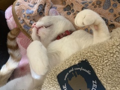 =^_^=爆睡からの寝起き=^_^=