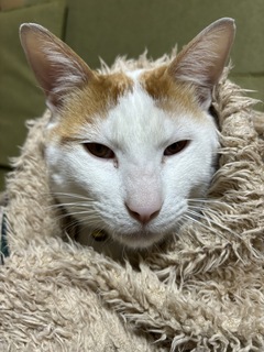 =^_^=こんにちは!春男です=^_^=