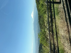本日より通常営業しております!