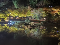 ~遅い紅葉~