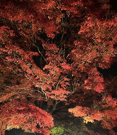 ~今日から12月~