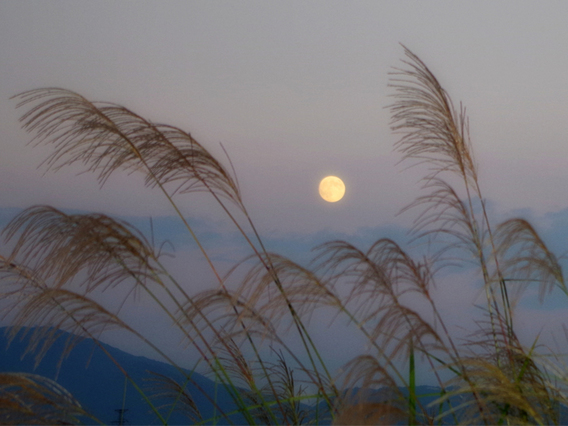 ＝＝中秋の名月☽＝＝