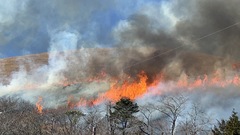 ▲大室山山焼き▲