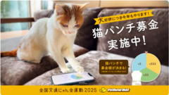2/22 猫の日でした
