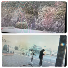 雪